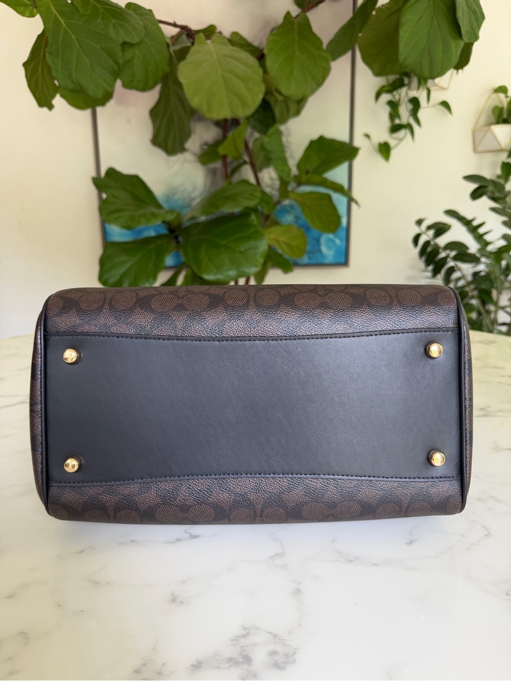 NWT Coach Rowan Large Satchel Crossbody Bag Signature Canvas Walnut Black CEY74 - Picture 7 of 12